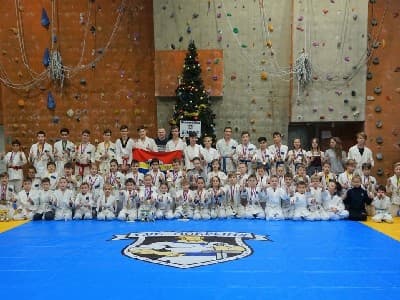 БОРЦОВСКИЙ КОВЕР 'РИНО СПОРТ'