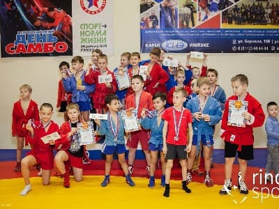 БОРЦОВСКИЙ КОВЕР 'РИНО СПОРТ'