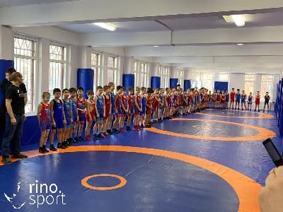 БОРЦОВСКИЙ КОВЕР 'РИНО СПОРТ'