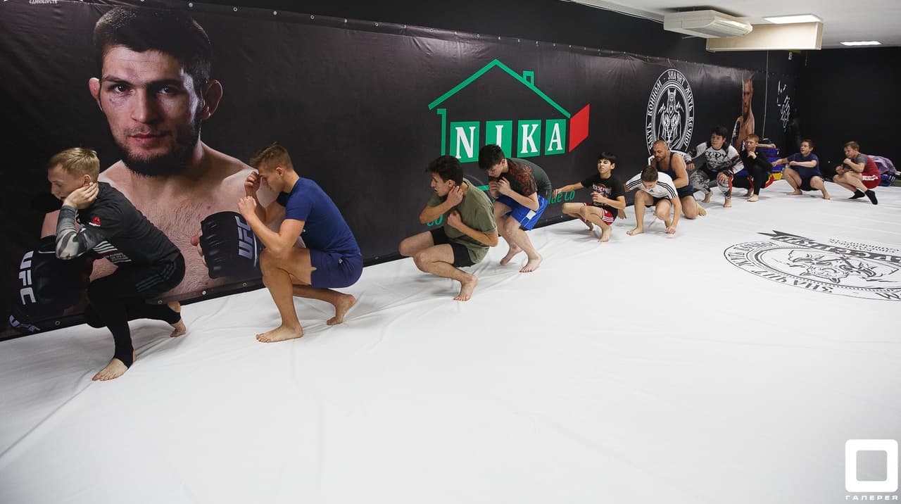 НАСТЕННЫЕ ПРОТЕКТОРЫ 'РИНО СПОРТ'